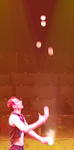 Artist im Circus Conelli
