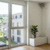 Schimmel an der Decke in Hinwil